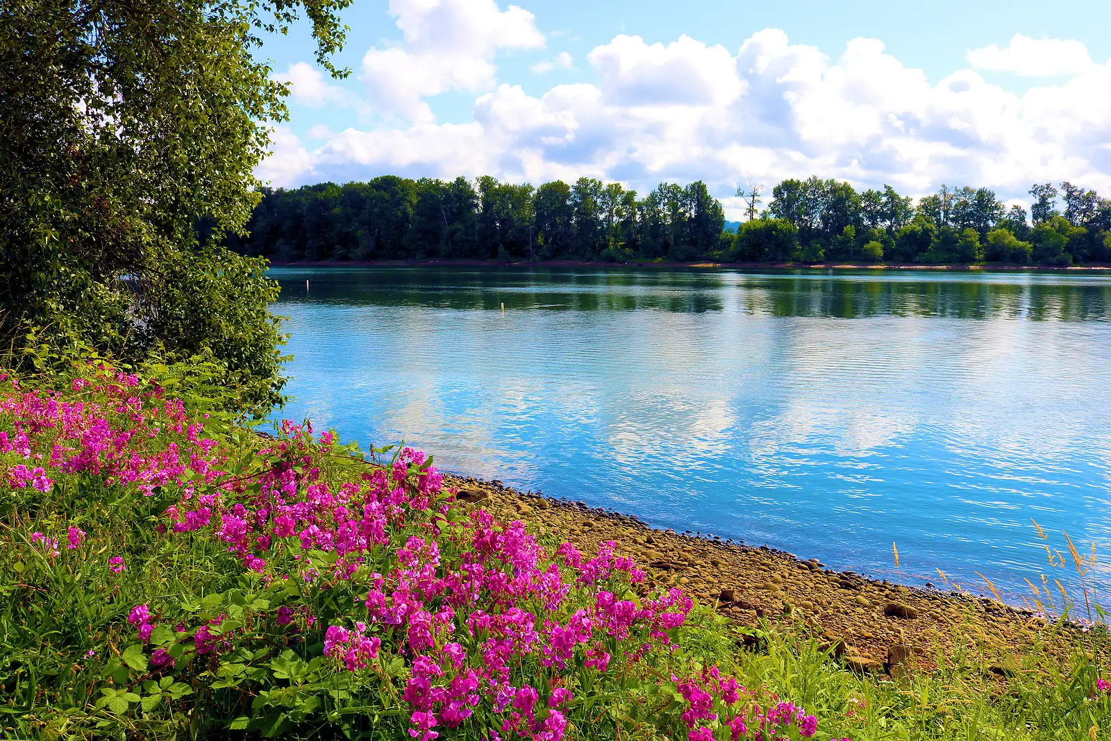 Proven Strategies for Successfully Hosting Your Lake of the Ozarks Vacation Rental